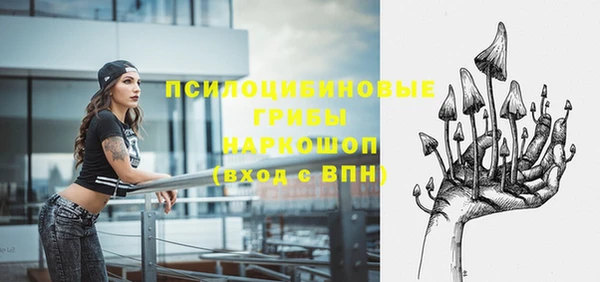 стаф Арсеньев