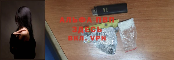 стаф Арсеньев