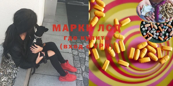 круглые Аркадак