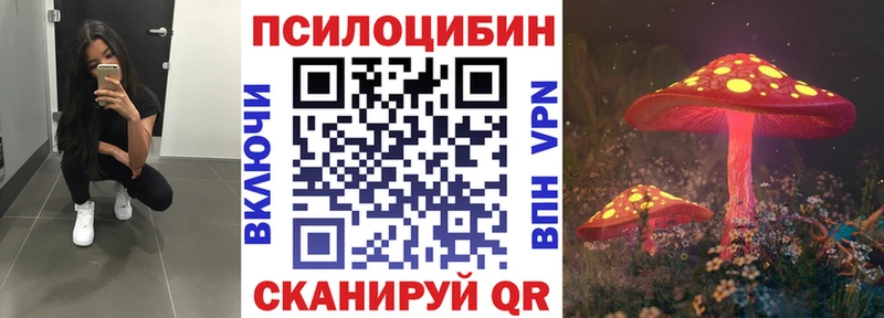 Галлюциногенные грибы Magic Shrooms  продажа наркотиков  Павловск 